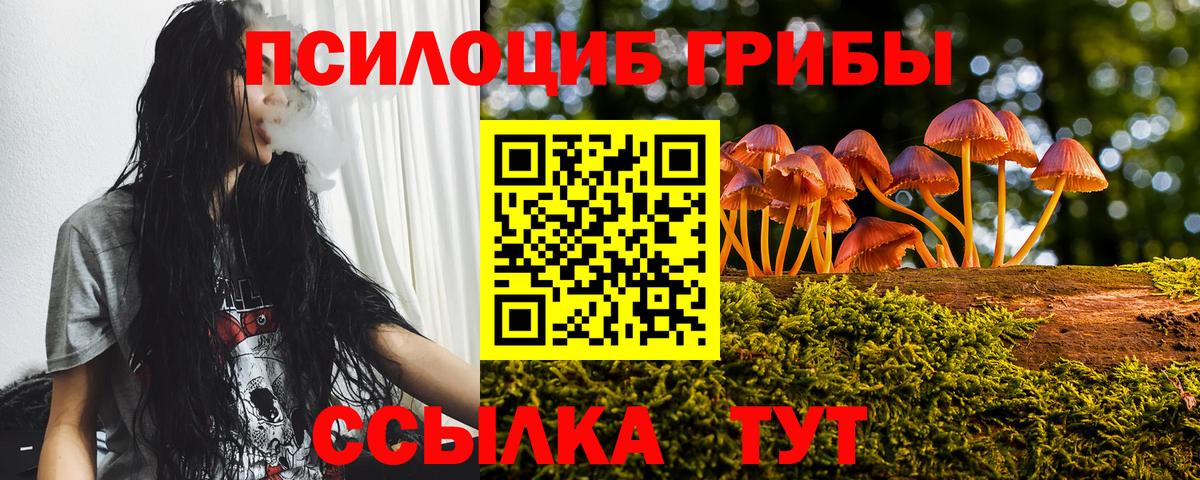 Галлюциногенные грибы ЛСД  Вход с VPN  Псилоцибиновые грибы Cubensis  Северобайкальск 